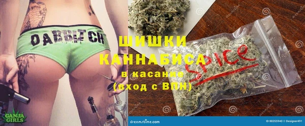 ECSTASY Богородицк